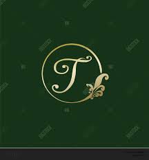 They provide information and help readers get to know you better. Letter T Decorative Vector Photo Free Trial Bigstock