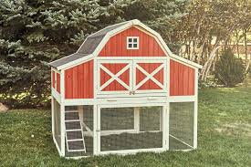 Maybe you would like to learn more about one of these? Barn Chicken Coop Chicken Saloon Chicken Saloon
