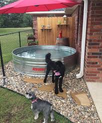 34 Simple Diy Playground Ideas For Dogs Dog Pool Dog Playground Dog Yard