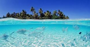 Olhuveli Beach Spa Maldives Jobs Oceania Travel Beautiful Beach Pictures Maldives