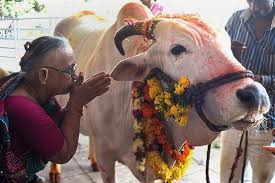 Para pemeluk hindu garis keras itu menekan pemerintahan perdana menteri narendra modi untuk segera menindaklanjuti isu tersebut. Mengapa Orang Hindu Menyanjung Tinggi Lembu Iluminasi