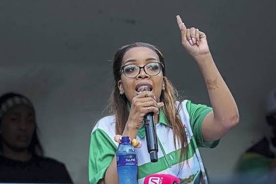 POLL | What do you think of the AfriForum and March and March collaboration?