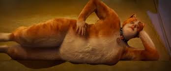 Cats Pulled From Universal S Awards Season Fyc Website Los Angeles Times