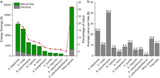 While china has given more than 400 million people legal rights over forest land, vast swaths of forestry in india are being. Urban Trees In University Campus Structure Function And Ecological Values Springerlink