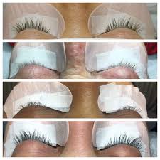 How much do eyelash techs make. How Your Natural Lashes Affect Your Lash Extensions The Artist S Canvas