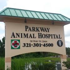 Match made on care.com every 3 minutes, so find your perfect pet care provider today. Island Animal Hospital Home Facebook