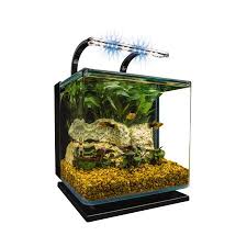 Pets In 2020 Glass Aquarium Aquarium Kit Aquarium