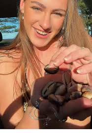 So many cowrie’s today 🐚 #fyp #aus #beach #shells #cowrieshells