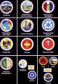 Boy scouts of america merit badge series. Merit Badges Troop 394 Cerritos Ca