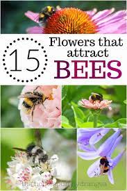 For an attracting accent to your garden, consider adding a bee or insect hotel. 10 Flowers That Attract Bees To Your Yard The Homespun Hydrangea