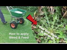 The turfgrass water conservation alliance service recommends overseeding at least 45 days before your feeding the lawn will increase vigour and help prevent weeds and moss from establishing. You Are Doing It Wrong How To Apply Weed And Feed Youtube