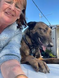 Any potty training tricks for small breed dogs?