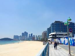 Haeundae Beach In Busan Korea ม ร ปภาพ พ นหล ง