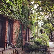 Friday Montreal Quebec Canada Citylife Urban Hoboview Autumn Floral Instagram Instagram Posts House Styles