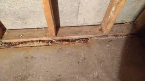 You're like rocky running the steps, pumping your fists, training so hard for your one chance at glory. Re Framing Basement Walls After Flooding Drain Tile With No Concrete Home Improvement Stack Exchange