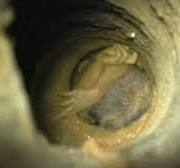 राजस्थान: खेलते समय में  पोंद vdo का षड़यंत्र आंगनबाड़ी ...