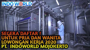 Ngoro, mojokerto, east java, indonesia. Butuh Pria Wanita Lowongan Kerja Pt Indoworld Youtube