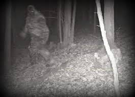 Bigfoot sightings near Sutton, West Virginia, have historic precedent -  West Virginia Explorer