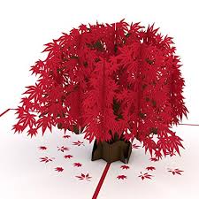 Let your heart leap off the page with this easy diy ilove you 3d pop up card and learn how to make diy 3d pop up card in very simple & easy steps.make this. Pop Up Cards Make The Best Gifts For Grandparents And Nursing Home Residents