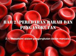 Sistem peredaran ini berfungsi baik dengan adanya jantung yang sebagai pam bertindak menyedut dan. Bab 2 Peredaran Darah Dan Pengangkutan Ppt Download