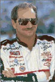 Plus, use our caption/border maker tool to chart your own words. Ann Logan 10 Free Patterns Online Dale Earnhardt 1477