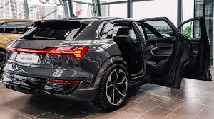 Image result for Magnet Gray 2024 SQ8