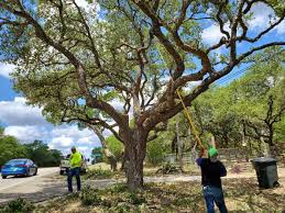 Maybe you would like to learn more about one of these? P32ekej3g4dbom