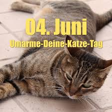 Umarme Deine Katze Tag Katzen Geburtstag Katzen Umarmung