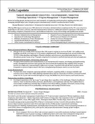 This C Level Executive Resume Was Professionally Written For A Global Business Executive With Extensive Programme Manager Manager Resume Project Manager Resume
