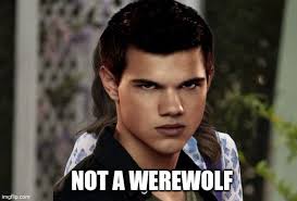 I still find it wild that Smeyer casually decided to lore drop that while  werewolves do exist in the Twilight universe the Quileute tribe are  actually just shifters that happen to turn