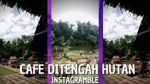 Kampung konservasi rimbun adalah sebuah wahana baru ekowisata yang berdiri di jalan masjid ciater, buaran, kecamatan serpong, kota tangerang selatan. Rimbun Tempat Instagramable Di Pamulang Cafe Ditengah Hutan Youtube