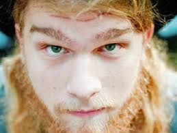 From a Virginia swamp to Savannah's urban forest, The Last Bison wander