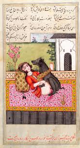 زوفیلیا (حیوان خواهی)