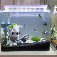 top 11 secrets to a successful home aquarium 1 akvaryum susleri beta baligi betta akvaryumu