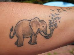 Elephant tattoos are not only remarkable but also carry deep meanings that many tattoo lovers resonate with. 15 Best Elephant Tattoo Designs With Images Styles At Life