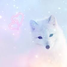 Noody Elsayed Noodyblue - Profile Pinterest