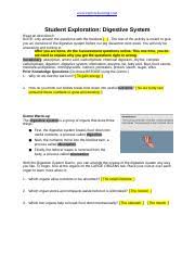 100 addition facts timed test simple division worksheets ks1 teacher worksheets for 1st grade word problem practice elementary worksheets solution finder math prep math worksheets worksheets. Activity D Human Digestion Get The Gizmo Ready Click Reset And Clear Screen Course Hero