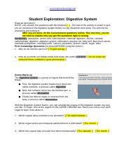 Quizlet, explore learning circulatory gizmo answers, gizmo student exploration digestive system answer key, what are the answers to the assessment questions for the, gizmo digestive system worksheet answers, digestive system gizmo answers stomach ambien evm europe. Westin Cinnamond Digestive System 2019 Www Explorelearning Com Student Exploration Digestive System Read All Directions Note Only Answer The Course Hero