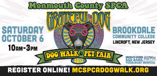 They helped us find our new found love gracie, as in amazing grace! Join The Monmouth County Spca For The 19th Annual Dog Walk Pet Fair At Brookdale Community College In Lincroft Nj Regis Dog Walking Monmouth Register Online