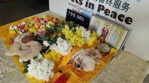 We hope that our pet insurance will give pet owners some of the same reassurance and peace of mind that customers of our other insurances currently. Pets In Peace Malaysia Photos Facebook
