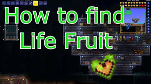 Along with this, both the creature and its biome only spawn in hard mode, so we highly suggest bringing your best weapons and armor when you go farming—you. Terraria How To Get Life Fruit