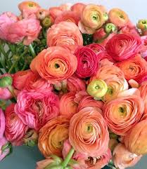 Check spelling or type a new query. Spring 2017 Floral Favorites Beaumont House Design