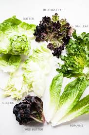 A Guide To Salad Greens