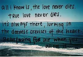 True Love Never Dies Love Never Dies Quotes Cute Quotes