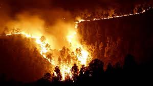 Imágenes del incendio de arico este viernes. El Incendio En Tenerife Empeora Y Ya Ocupa 1 500 Hectareas El Liberal