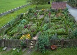 Pin On Veggie Garden Ideas