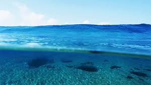 Animated Clipart Ocean Animated Ocean Transparent Free For Download On Webstockreview 2021 All gif files are sorted by categories and tags for easy search. animated clipart ocean animated ocean
