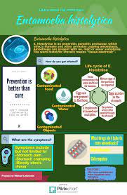 Pin By Rx Phbio352016 On Group 4 Entamoeba Histolytica Necator Americanus Trichomonas Vaginalis Entamoeba Histolytica Life Cycles Fun Facts