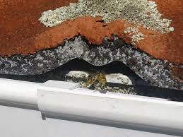 Spray until you can't spray anymore. Advice How To Get Rid Of A Wasp Nests In Eaves