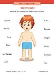 Check spelling or type a new query. 21 Education Ideas Education Preschool Worksheets Body Preschool